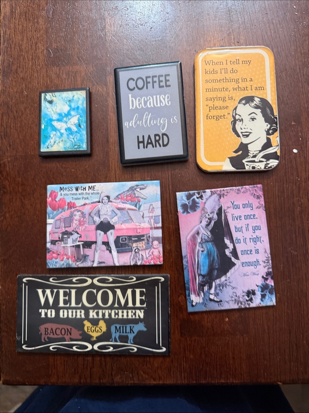 Assorted Decorative Refrigerator Magnets - Colorful Quotes & Retro Art